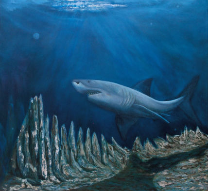 Tiburón