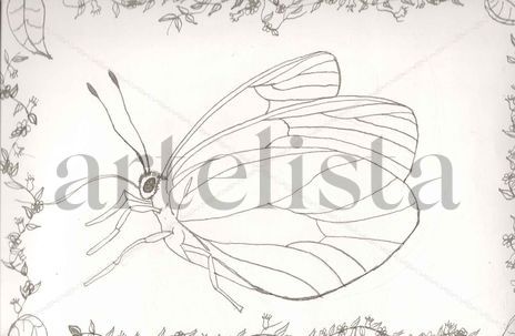 Mariposa