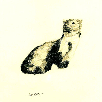 Garduña