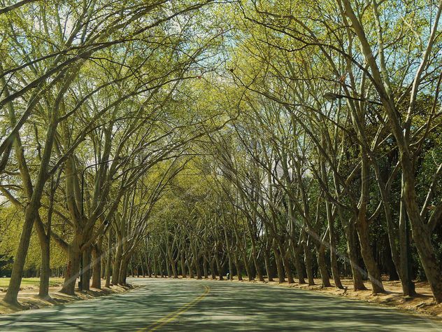 "Parque General San Martin"