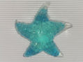 Estrela do mar