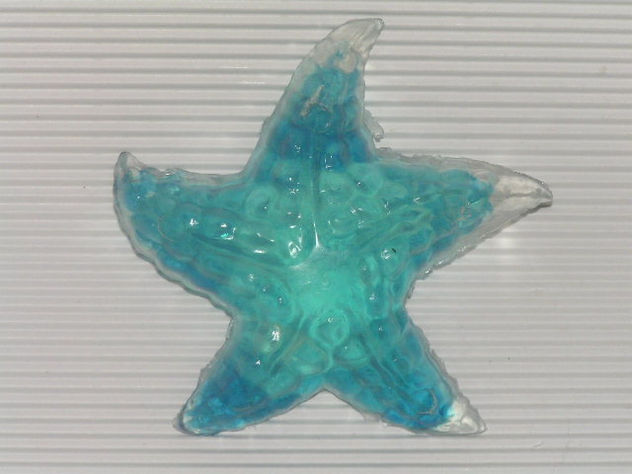 estrela do mar