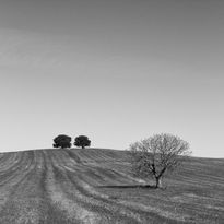 Paisaje Valladolid