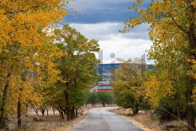OTOÑO EN QUINTANAS DE GORMAZ