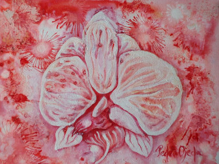 Orquidea 2