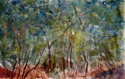 Foresta