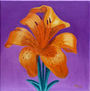 IRIS NARANJA