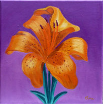 Iris naranja