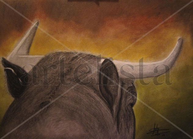 Carboncillo/Pastel nº12: - 24.10.2010