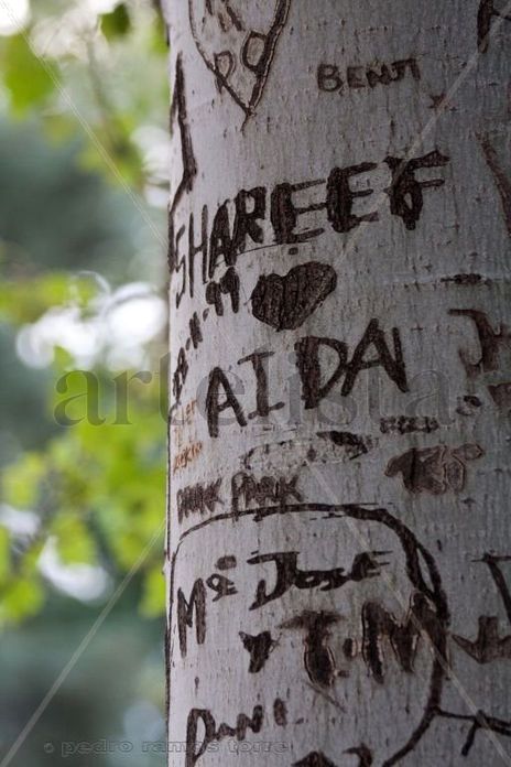 Heridas de amor