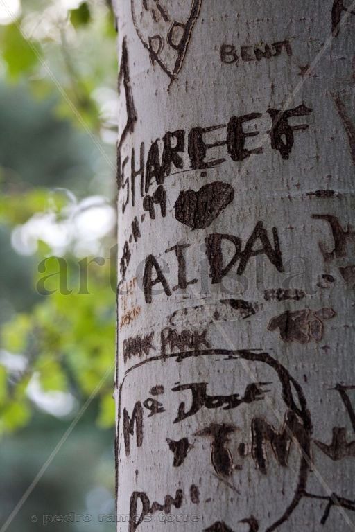 HERIDAS DE AMOR
