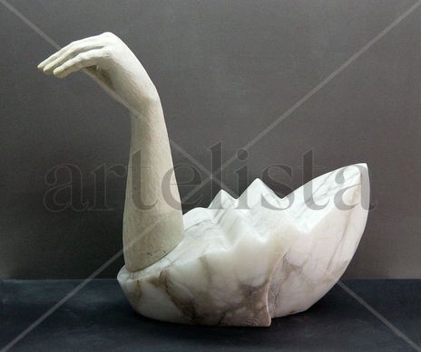 "El patito feo...