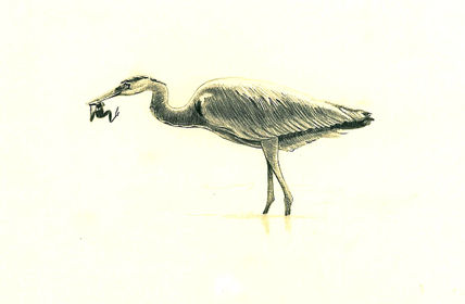 Garza real
