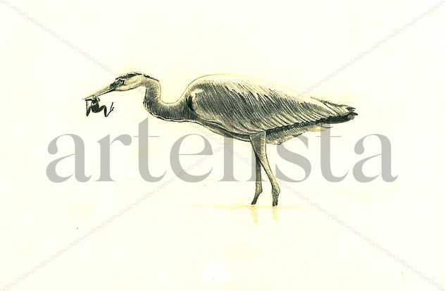 GARZA REAL