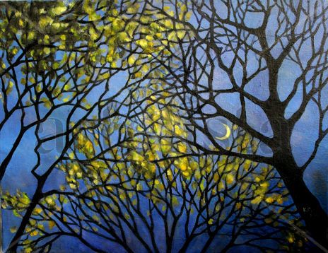 Nocturne
