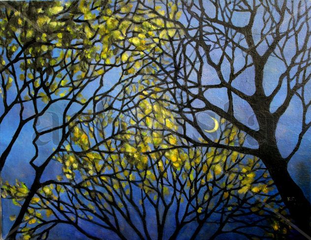 Nocturne