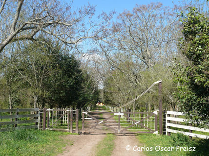 Entrada al campo
