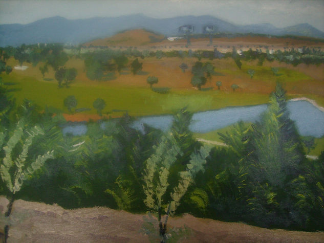 campo de golf dede el juancarlos primero Oil Canvas Landscaping