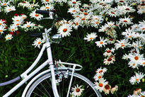 Bicicleta en jardín