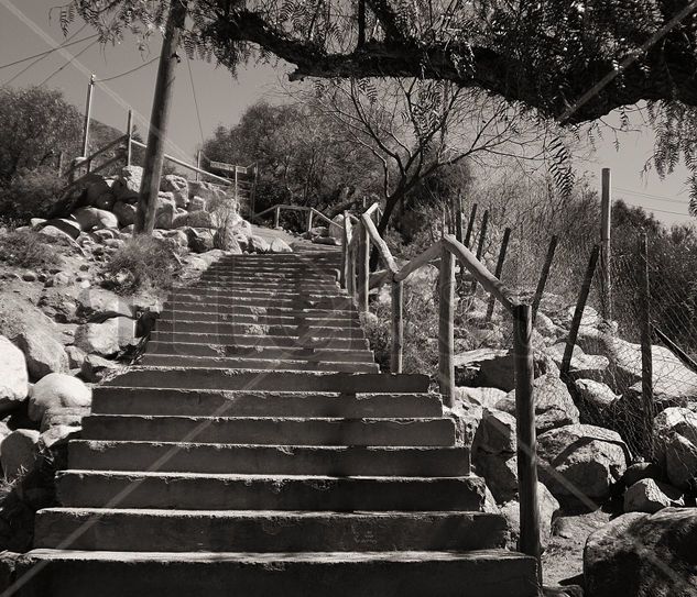 " Escalera " Naturaleza Blanco y Negro (Digital)