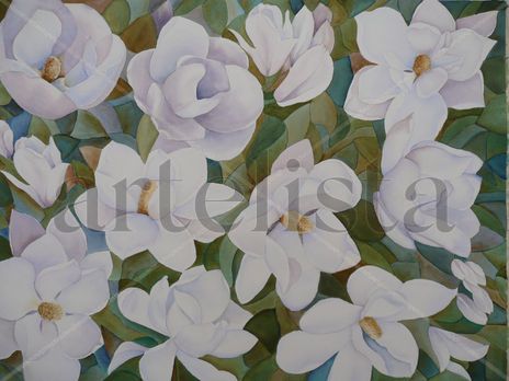 Magnolias