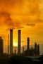 Atardecer en la planta