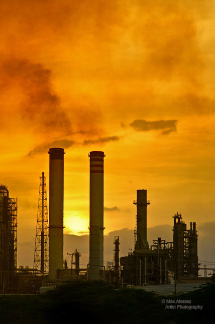 Atardecer en la planta