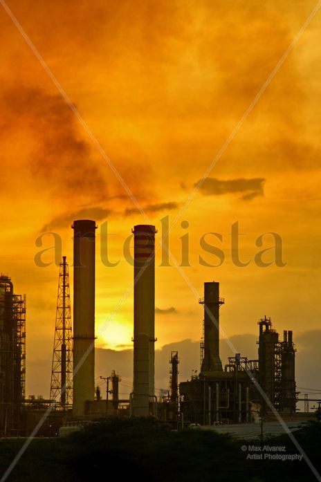 Atardecer en la planta