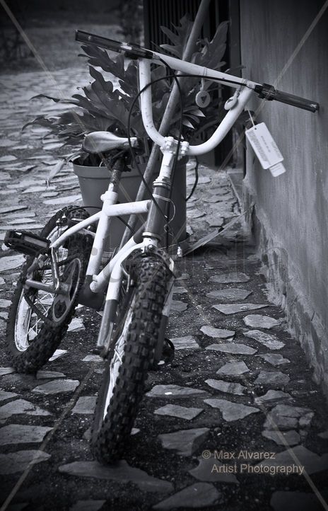 Bicicleta