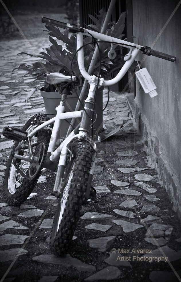 Bicicleta