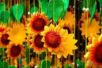 Girasoles