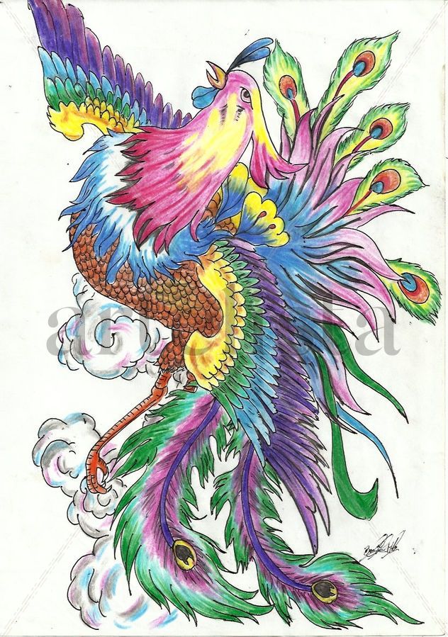 pavo real
