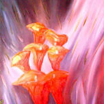 Natureza thumbnail 2