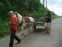 La carreta de martìn.