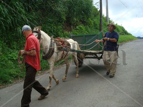 La carreta de martìn.