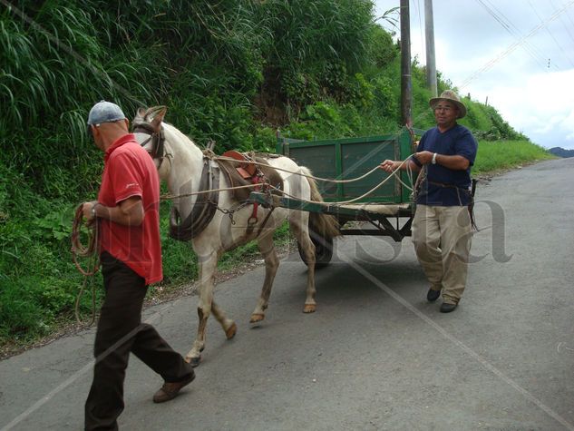 LA CARRETA DE MARTÌN. 