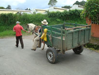 La carreta de martìn.