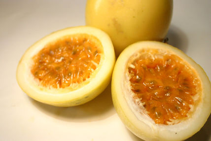 Maracuya
