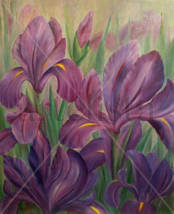 Iris azules