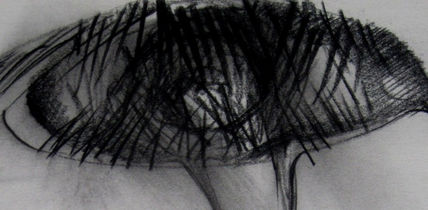 DP11 Detalle