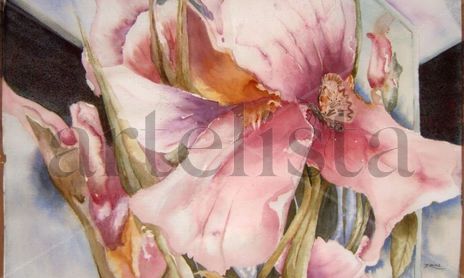 Coleccion Flores