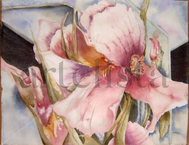 Gibran Feliz Watercolour Paper Floral Painting