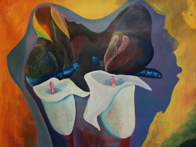 amor de dos mariposas