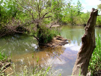 Arroyo Aiguá