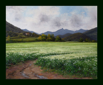Campo de alforfon...