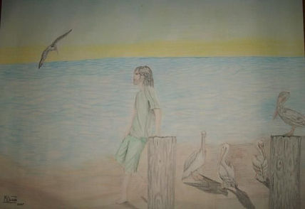 Pelicanos
