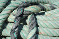 Amarras recogidas