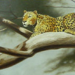 Animales salvajes thumbnail 1