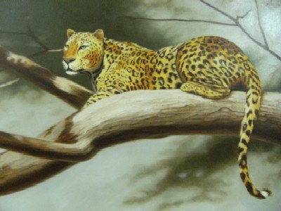 LEOPARDO EN EL ARBOL Oil Canvas Animals