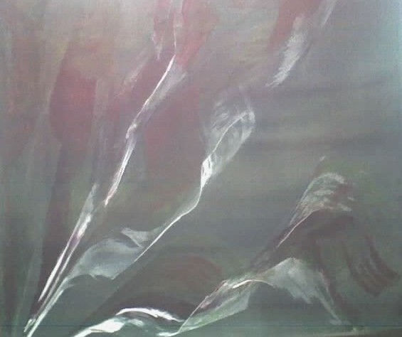 Bailando Acrylic Canvas